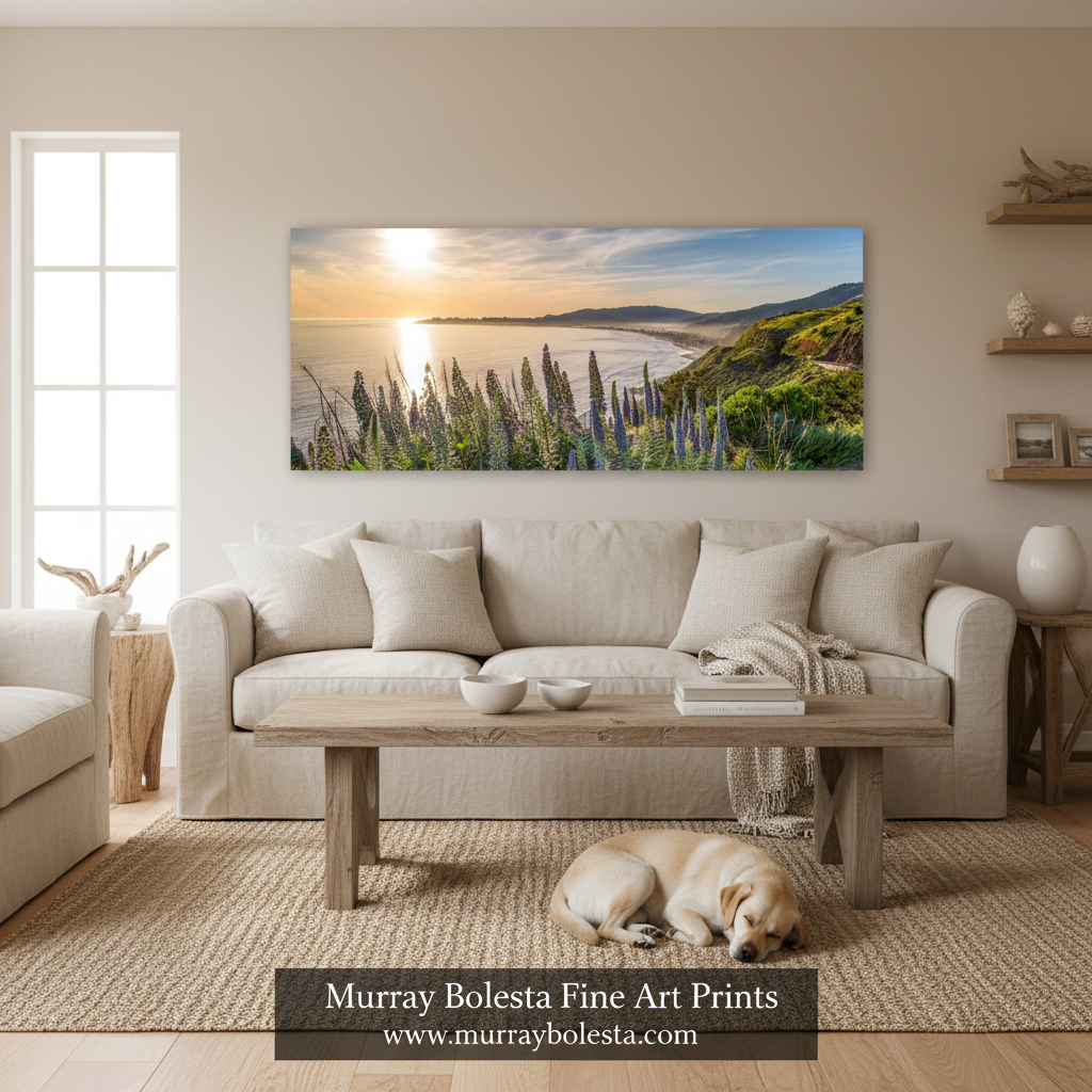 Stinson Beach Sunset Panorama Print - Marin County California Art