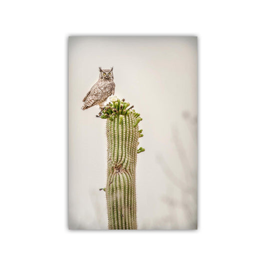 Owl Print in Sepia with Desert Cactus | Rustic Southwest Wall Decor
