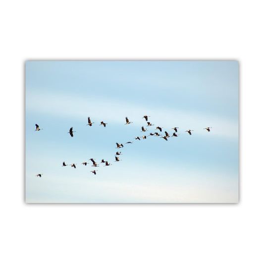 Flying Sandhill Cranes – Southern Arizona Wildlife Fine Art Print