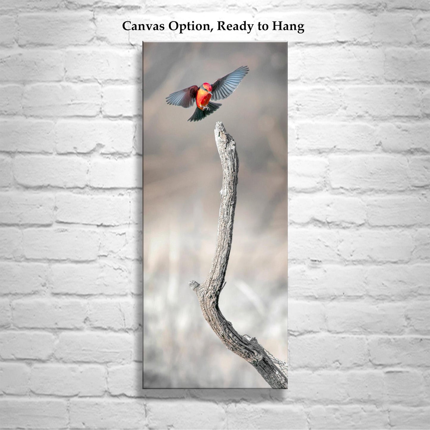 Vermilion Flycatcher Bird Fine Art Print | Arivaca Bird in Flight