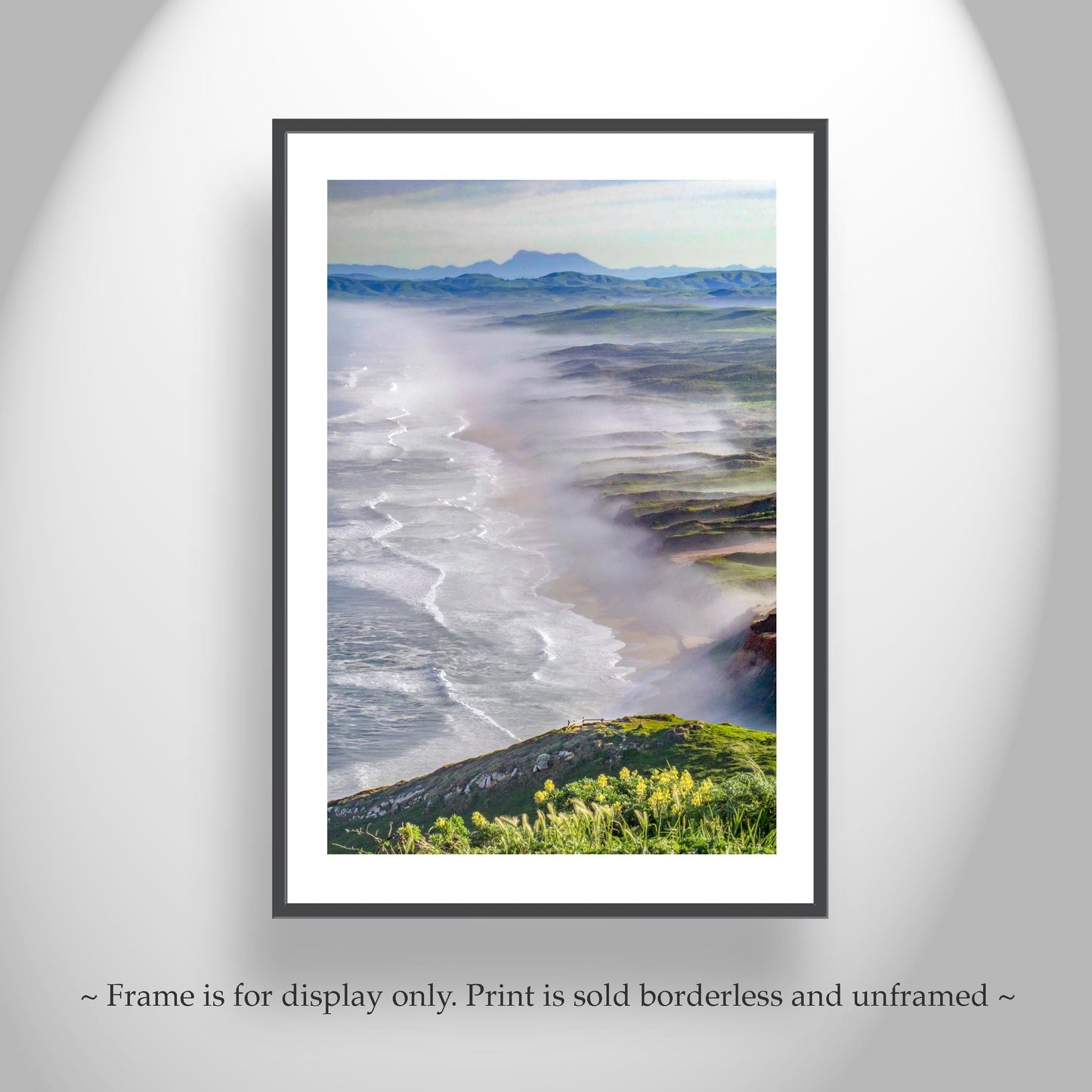 Point Reyes Seashore Marin Coast Art Print | California Beach Wildflowers