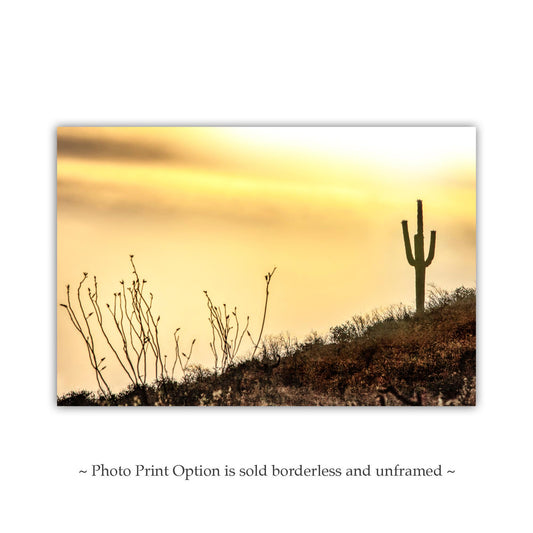 Tohono O'odham Nation Sunset Cactus Art – Tucson Desert Print