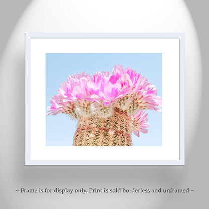 Southwest Cactus Blossom Art – Pink and Magenta Wall Decor Print