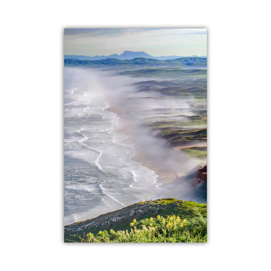 Point Reyes Seashore Marin Coast Art Print | California Beach Wildflowers