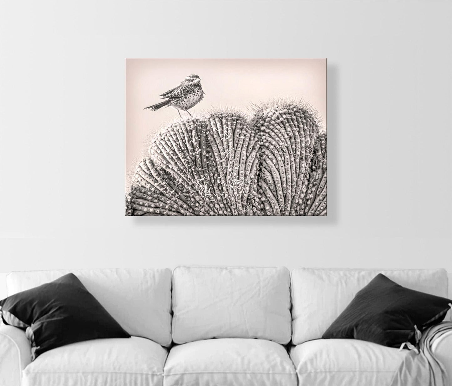 Cactus Wren Bird Art Print on Crested Cactus in Tucson Arizona Desert