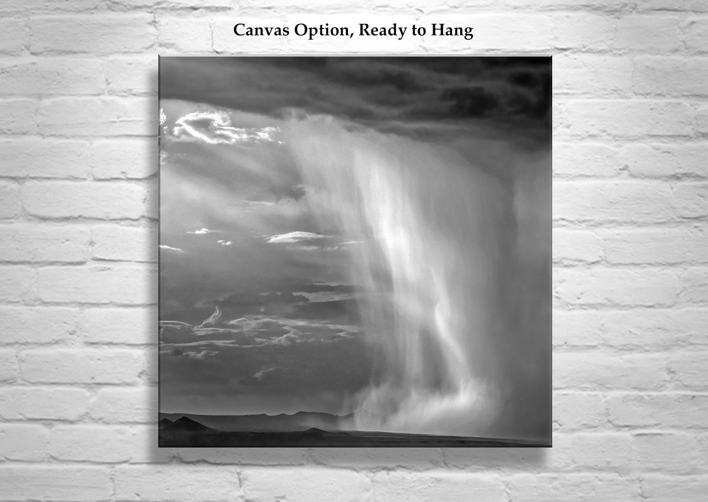 Tucson Arizona Landscape Square Print | Black and White Desert Monsoon