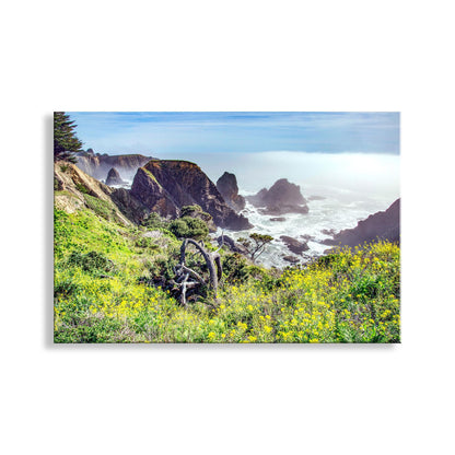 Mendocino California Coast Print as Home Decor Gift
