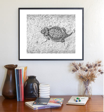 Desert Horned Lizard Wall Art | Arizona Wildlife Art Print