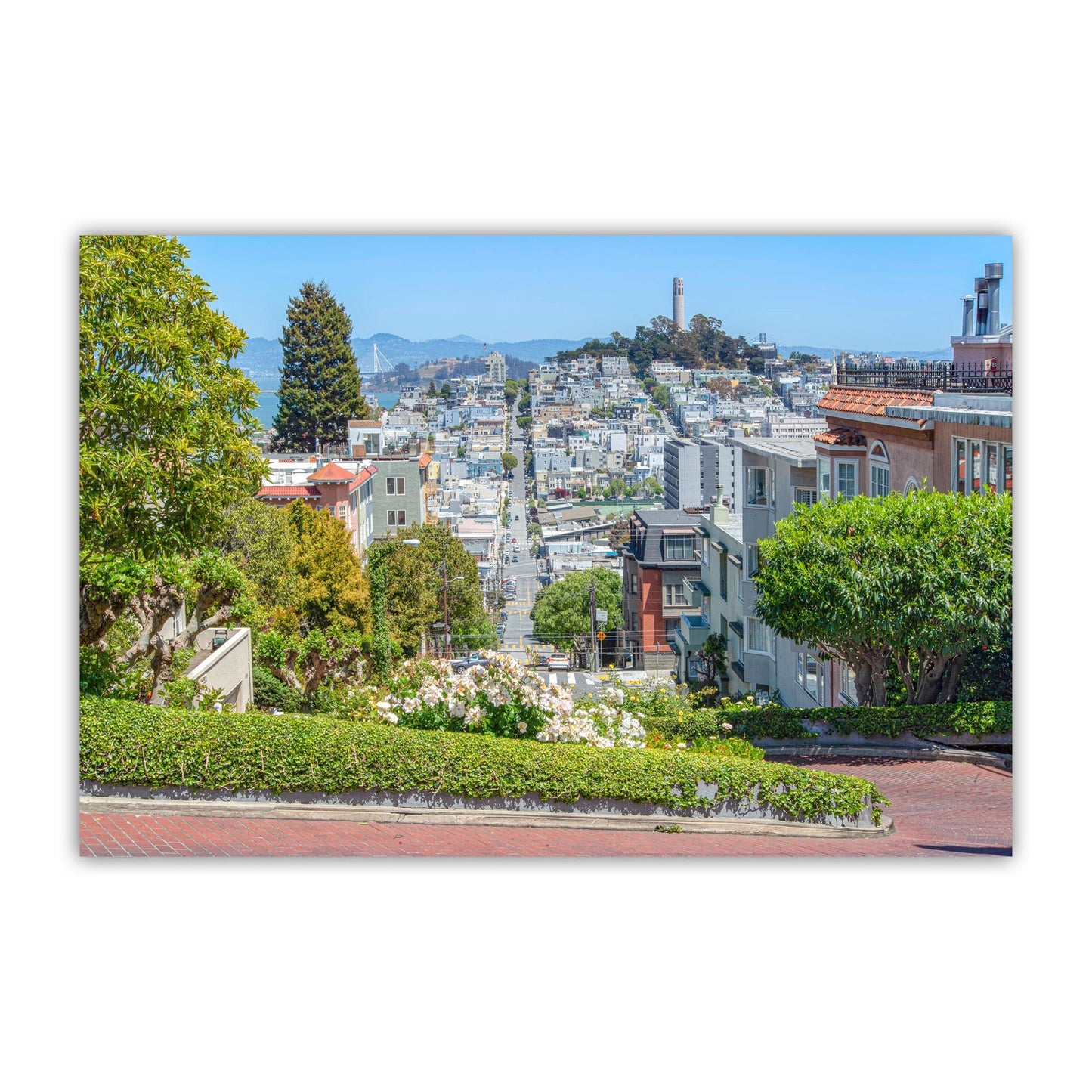 Lombard Street & Coit Tower San Francisco Cityscape Wall Art