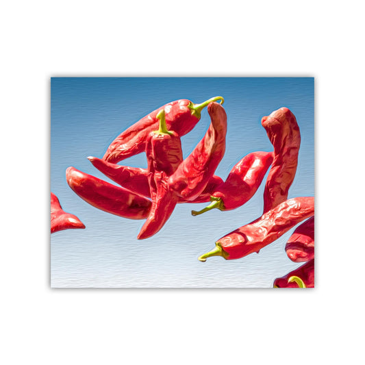 Southwestern Chili Pepper Food Art Print – Tucson Fine Artwork