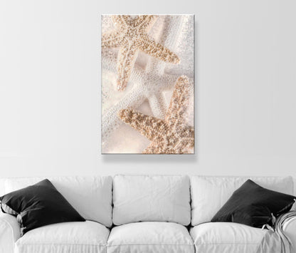 Starfish Seashells Bathroom Wall Art as Gift for Home