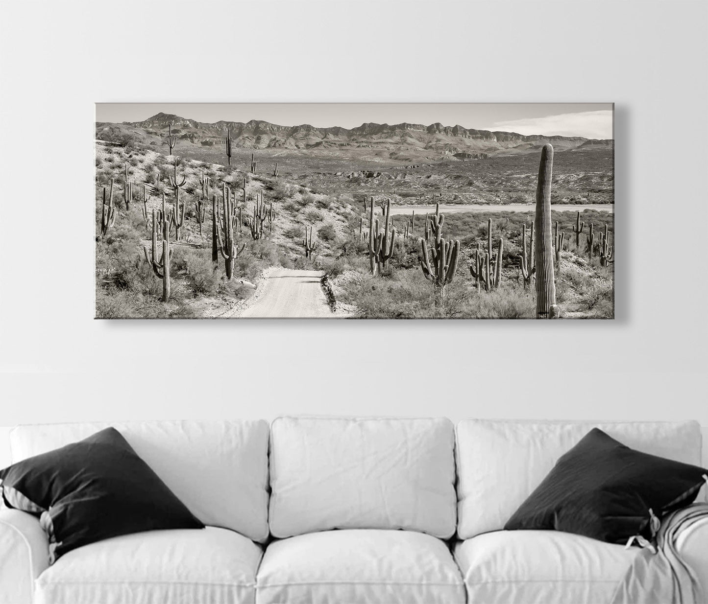Redington Pass Desert Road with Saguaro – Tucson Art Photograph