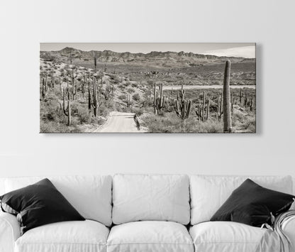 Redington Pass Desert Road with Saguaro – Tucson Art Photograph