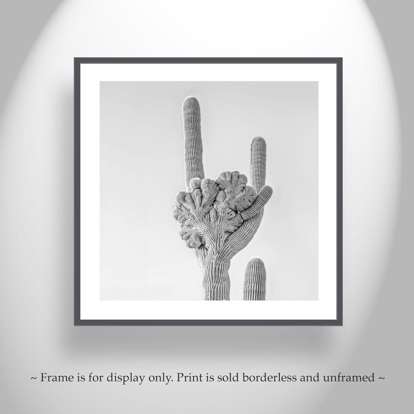 Crested Saguaro Cactus Black and White Art Print in Arizona Desert