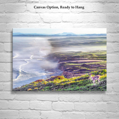 Point Reyes Print with Marin County Beach and Wild Deer