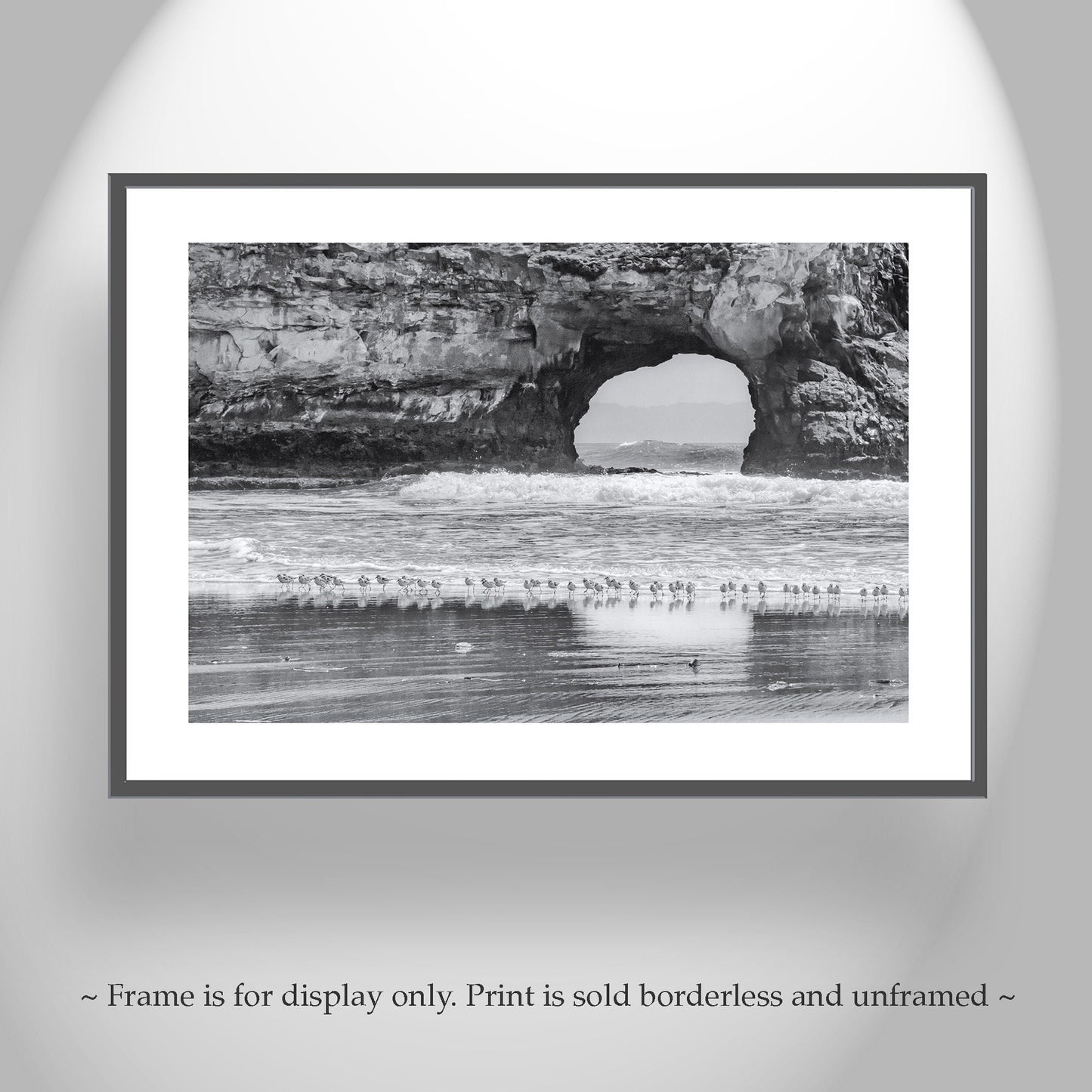 Santa Cruz California Beach Natural Bridge Sea Arch Print with Seabirds