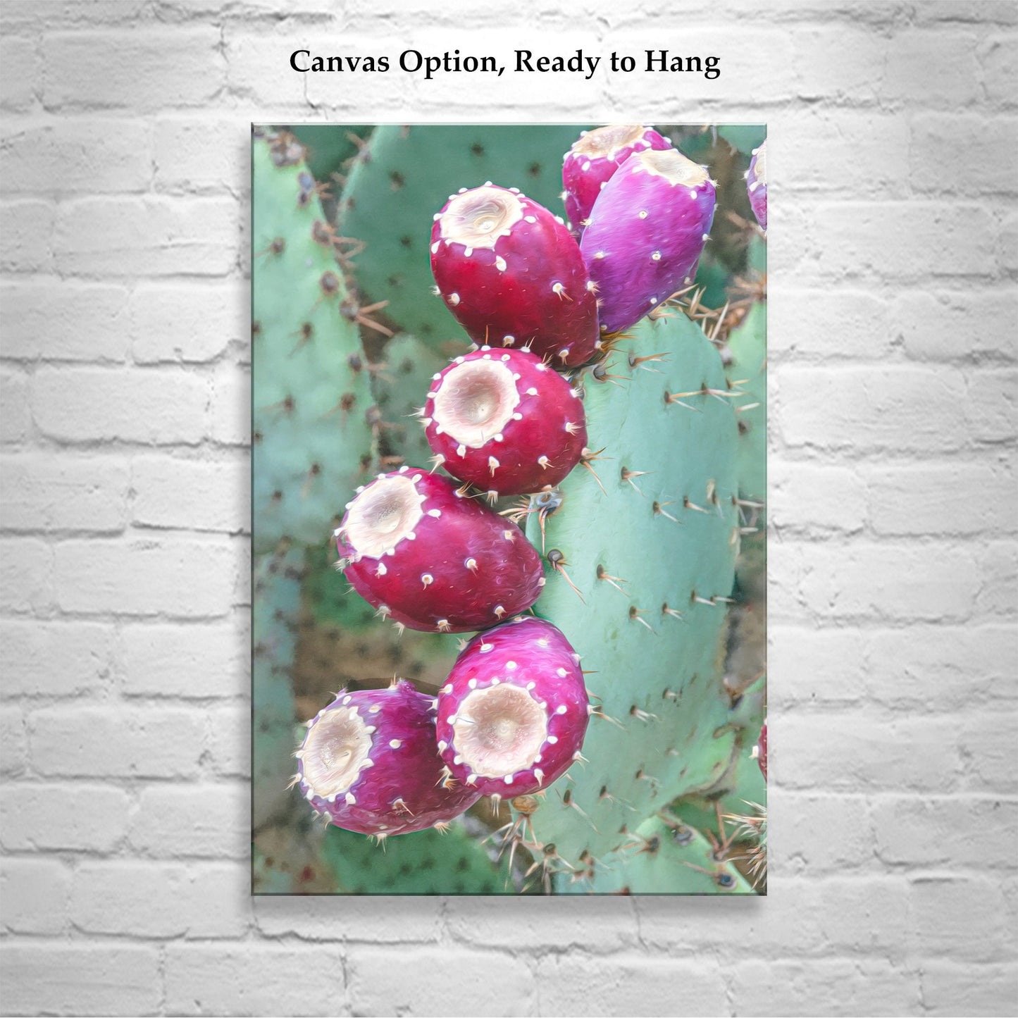 Southwestern Cactus Wall Art – Santa Rita Prickly Pear Print