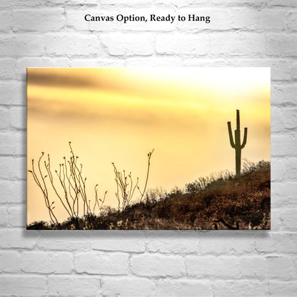 Tohono O'odham Nation Sunset Cactus Art – Tucson Desert Print
