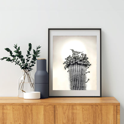 Desert Cactus Bird Artgraph | Southwestern Style Wall Art | Tucson