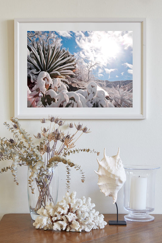 Desert Snow Canvas Art with Agave Plant in Arizona Winter