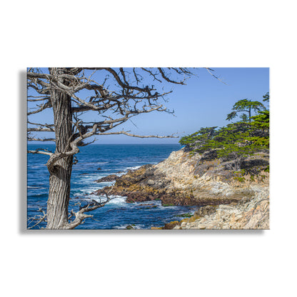 Coastal scene with a tree by the ocean under a clear blue sky.  Beautiful Monterey Coast! This is the famous Seventeen Mile Drive near Pebble Beach California, a magnificent collision of land and sea. Original, unique signed art by Murray Bolesta!