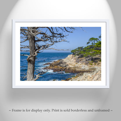Monterey California Coast Seascape Photography Wall Art