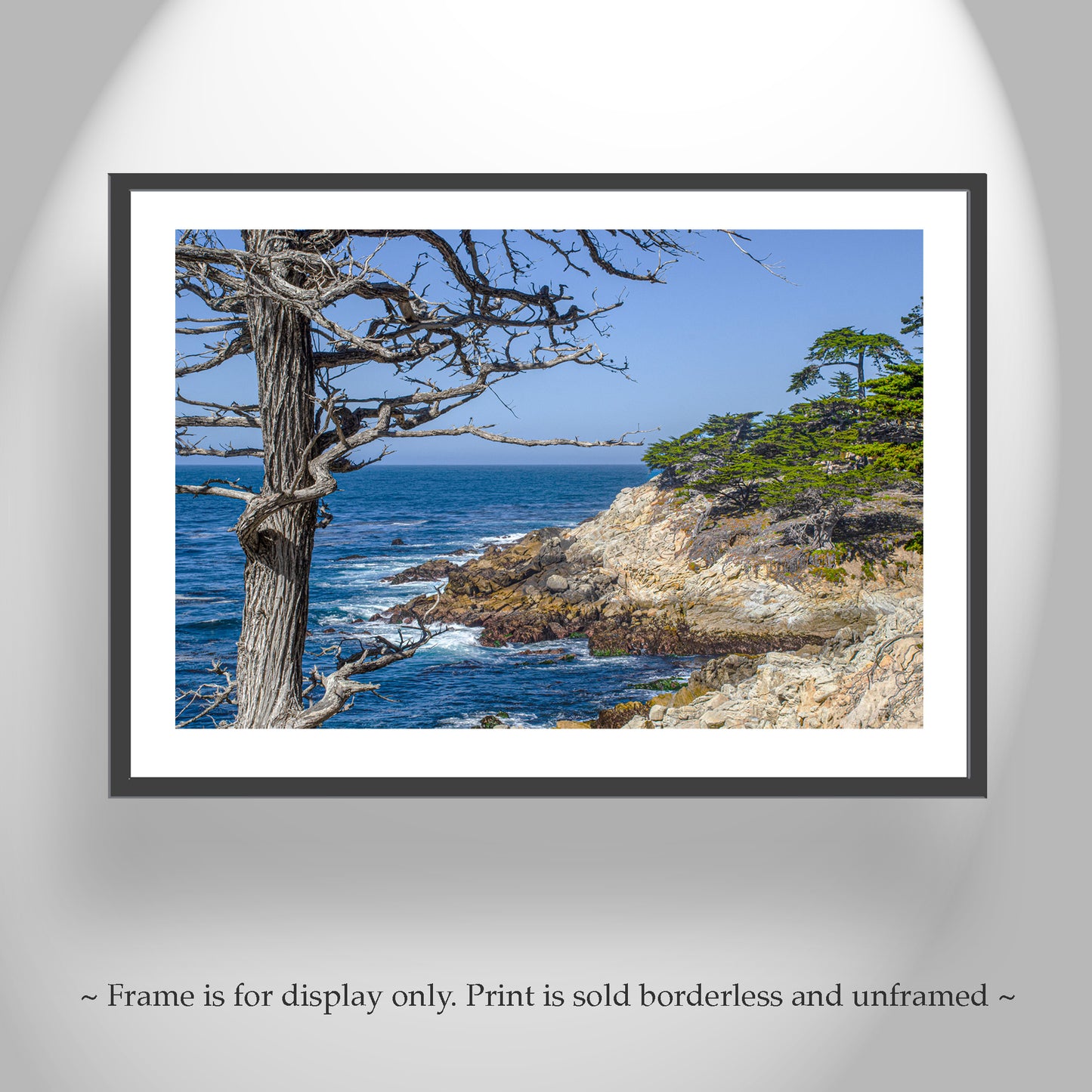 Monterey California Coast Seascape Photography Wall Art