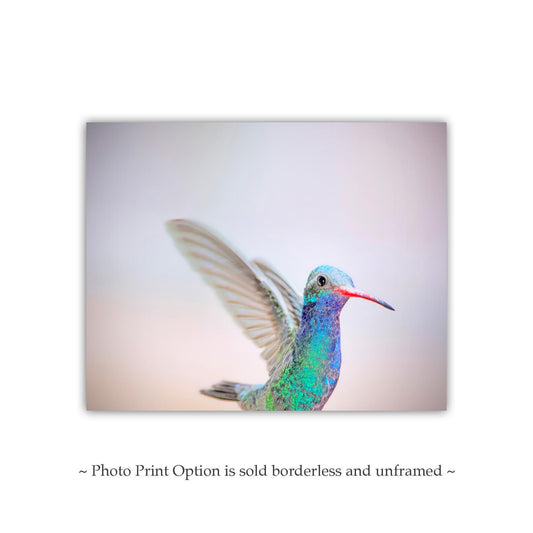 Hummingbird Art Print as Pastel Minimalist Bird Art