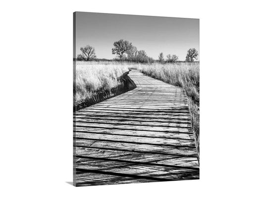 Surreal Black & White Boardwalk Art Print | Arivaca Cienega Arizona