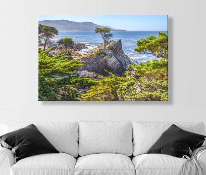 Lone Cypress Tree Carmel by the Sea Photograph at Pebble Beach California | Home Decor Gift for Her | Monterey Peninsula Wall Art