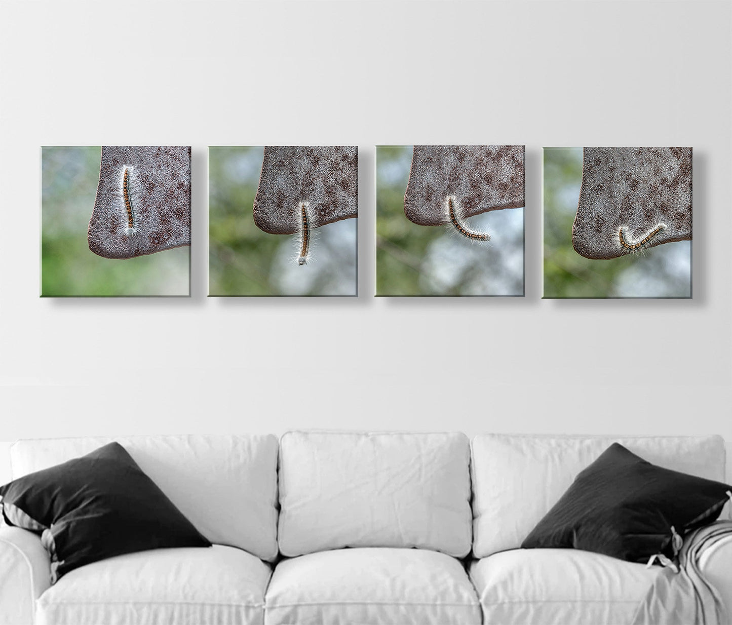 Caterpillar Art Set – 4 Nature Prints | Cute Nature Photos