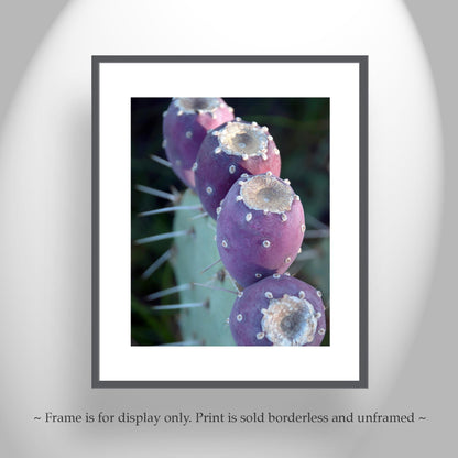 Purple Cactus Botanical Wall Art – Santa Rita Prickly Pear Art