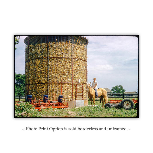 Vintage Iowa Farmhouse Photo – Midwest Country Art Print