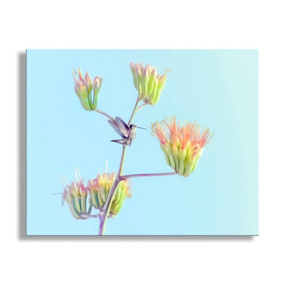 Hummingbird Artwork on Spring Arizona Desert Agave