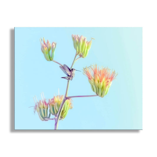 Hummingbird Artwork on Spring Arizona Desert Agave