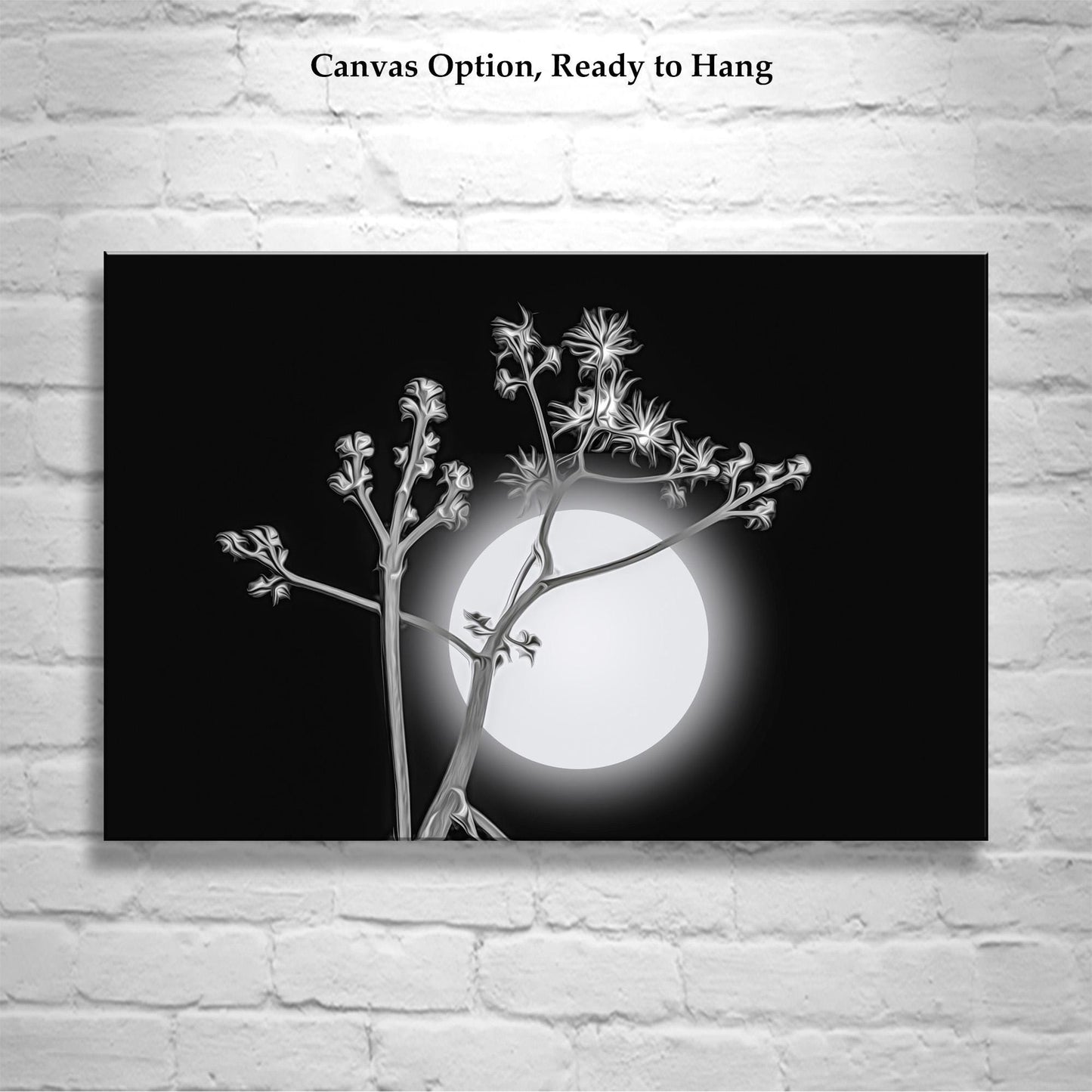 Surreal Desert Moon and Agave Art in Black and White Canvas Art Print