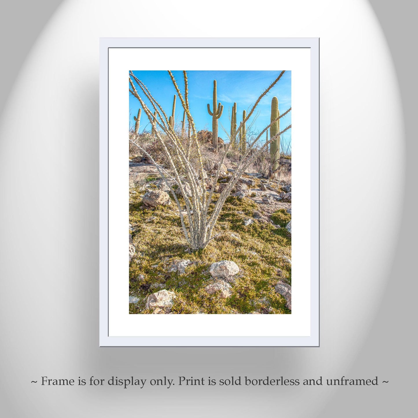 Ocotillo and Saguaro Cactus Landscape in Spring | Arizona Desert Art