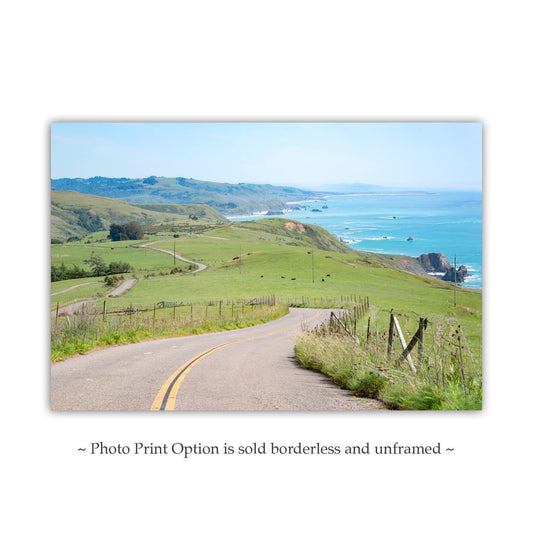 Mendocino Coast Sonoma Coast Bodega Bay Art Print