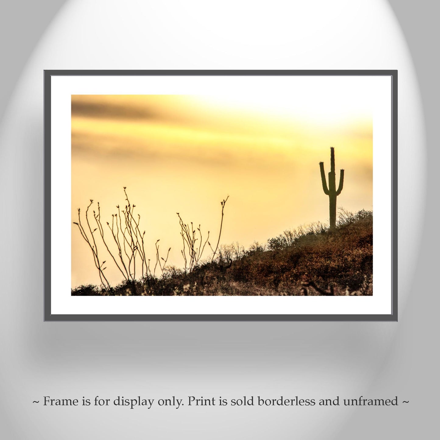 Tohono O'odham Nation Sunset Cactus Art – Tucson Desert Print