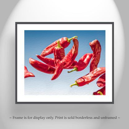 Southwestern Chili Pepper Food Art Print – Tucson Fine Artwork