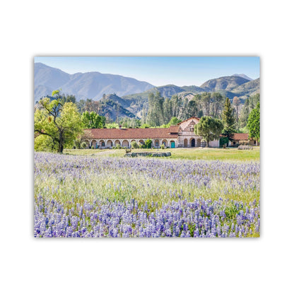 Lompoc Art at Mission San Antonio de Padua | Spring California Wildflowers
