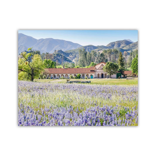 Lompoc Art at Mission San Antonio de Padua | Spring California Wildflowers
