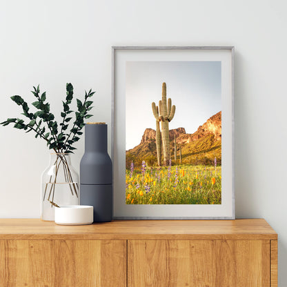 Tucson Landscape with Saguaro Cactus and Picacho Peak Desert View