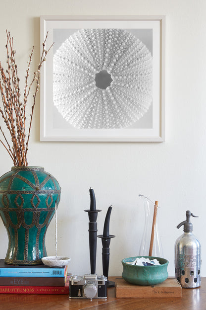 Minimalist Sea Urchin Wall Art in Black and White for Bathroom