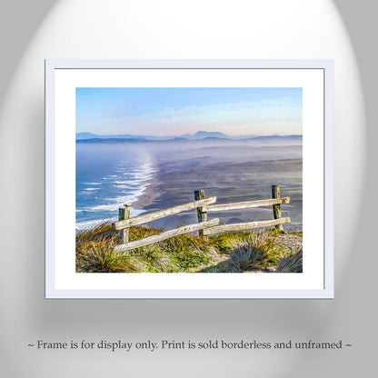 Point Reyes National Seashore California Coast Art Print with Little Bird