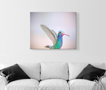 Hummingbird Art Print as Pastel Minimalist Bird Art