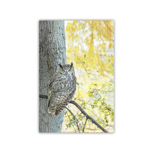 Great Horned Owl Wall Art – Arivaca Arizona Bird Print with Fall Colors