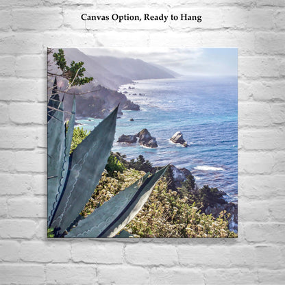 Big Sur Agave Art Print at California Coast as Home Decor