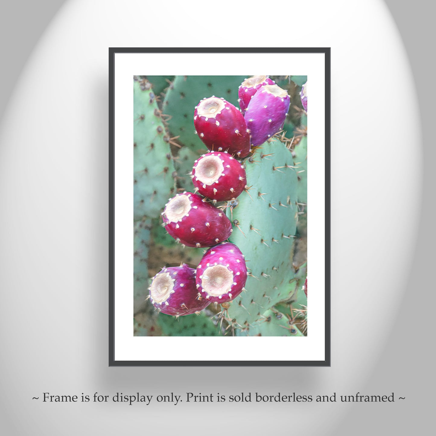 Southwestern Cactus Wall Art – Santa Rita Prickly Pear Print