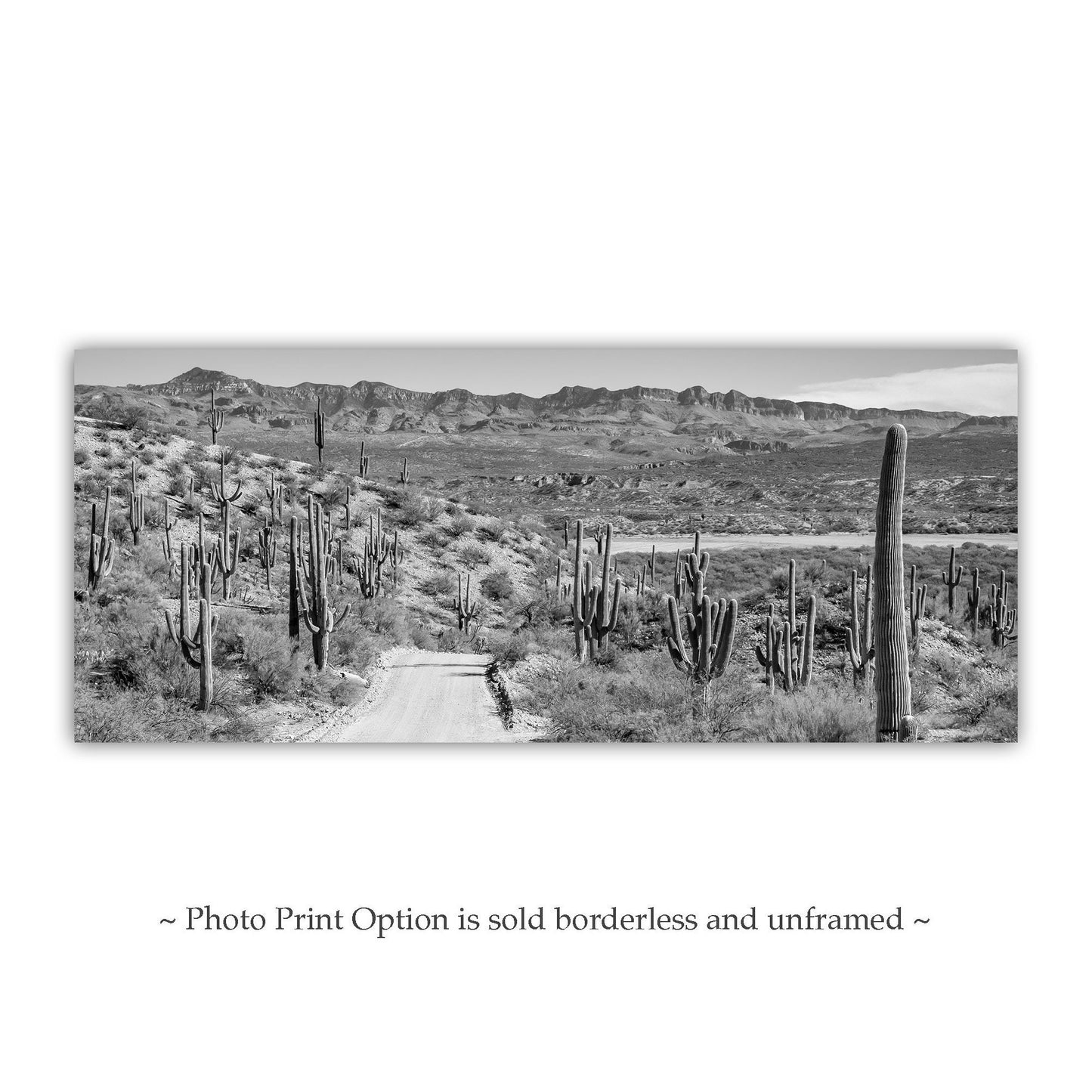 Redington Pass Desert Road with Saguaro – Tucson Art Photograph
